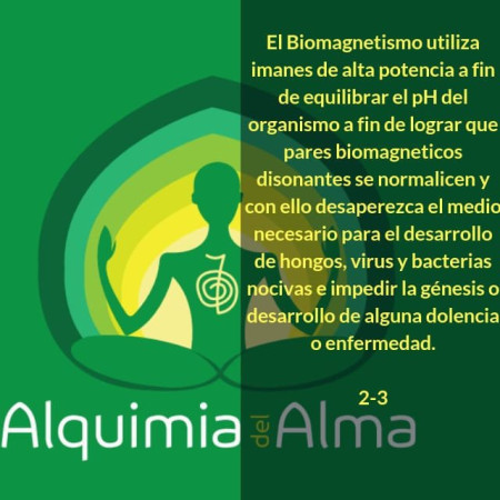 Imagen 10 de servicio
