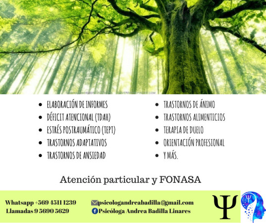 Imagen 0