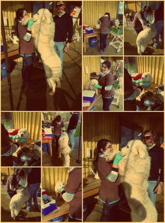 Imagen 1