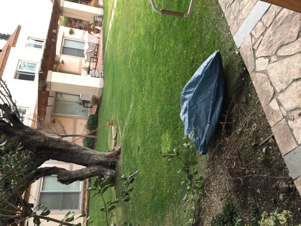 Imagen 3 de servicio