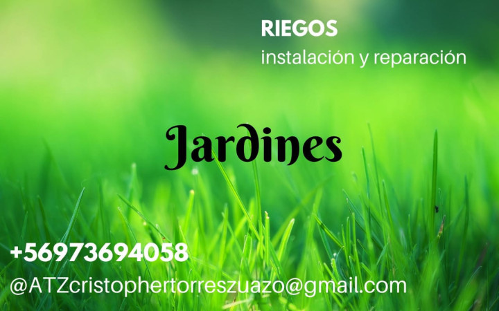 Imagen 4 de servicio