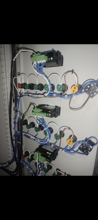 Imagen 2