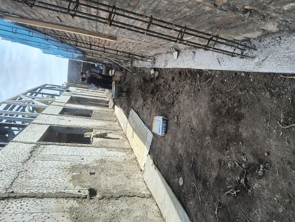 Imagen 166 de servicio