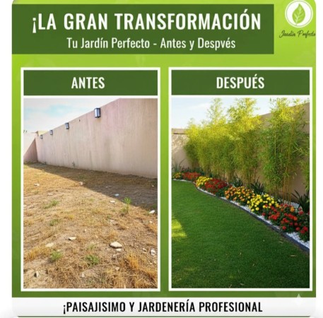 Imagen 0