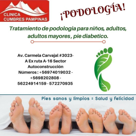 Imagen 5 de servicio