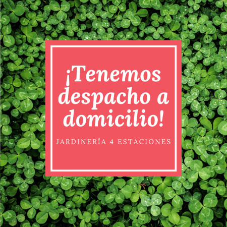 Imagen 0
