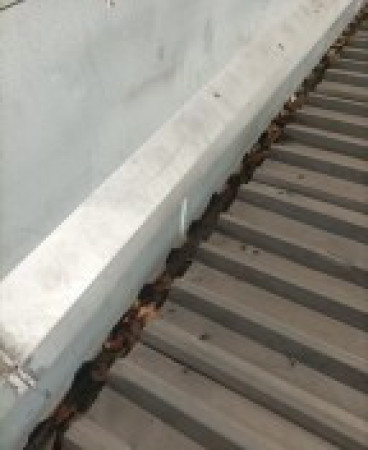Imagen 8 de servicio