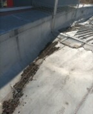 Imagen 30 de servicio