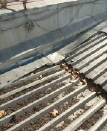 Imagen 33 de servicio