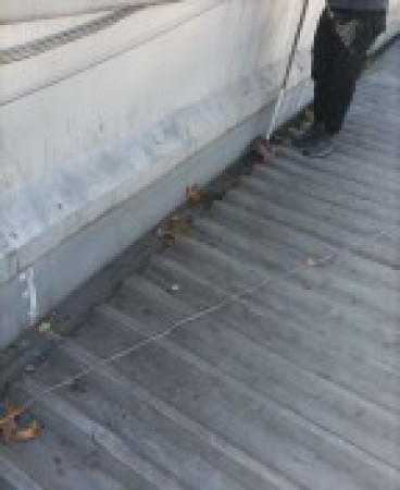 Imagen 37 de servicio