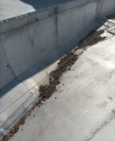 Imagen 44 de servicio