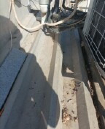 Imagen 71 de servicio