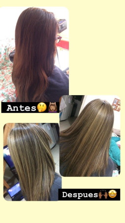 Imagen 2