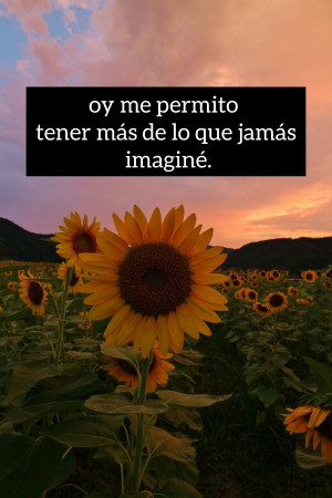 Imagen 0