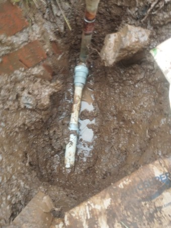 Imagen 6 de servicio