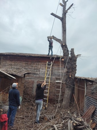 Imagen 89 de servicio