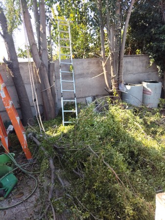 Imagen 90 de servicio