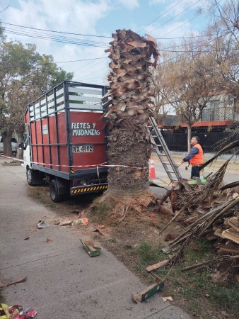 Imagen 93 de servicio