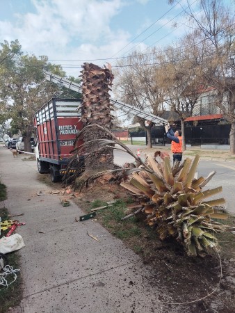Imagen 95 de servicio
