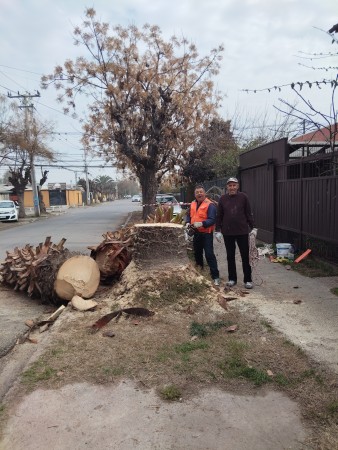 Imagen 94 de servicio