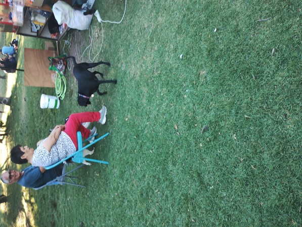 Imagen 3 de servicio