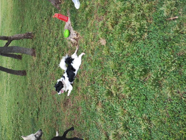 Imagen 1