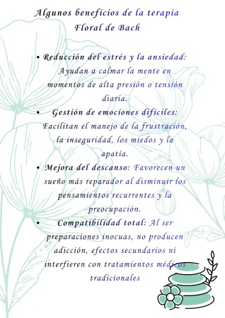 Imagen principal del servicio
