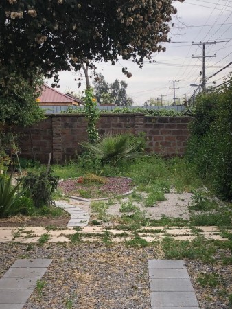 Imagen 0