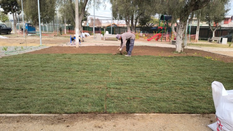Imagen 2