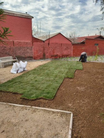 Imagen 15 de servicio
