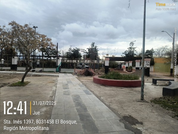 Imagen 14 de servicio
