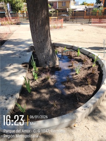 Imagen 39 de servicio