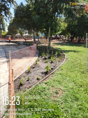 Imagen 38 de servicio