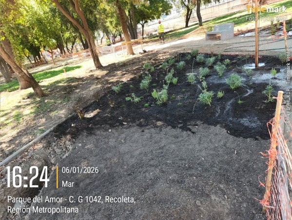 Imagen 40 de servicio