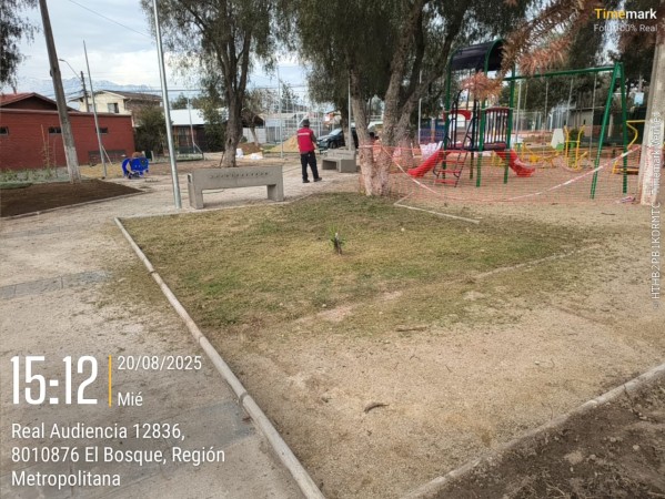 Imagen 41 de servicio