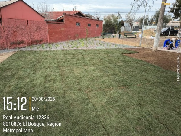 Imagen 42 de servicio