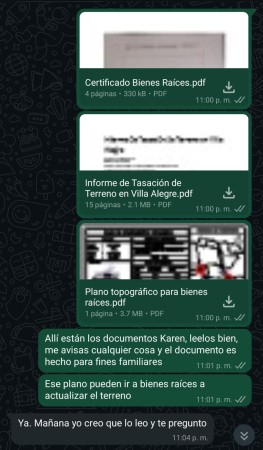 Imagen 0