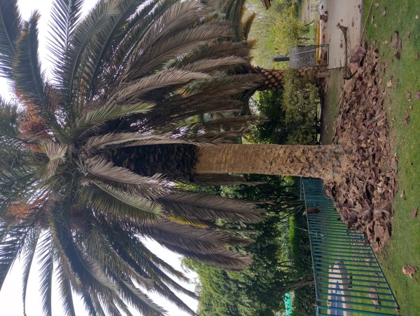 Imagen 9 de servicio