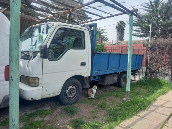 Imagen principal del servicio