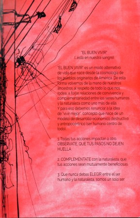 Imagen 3 de servicio