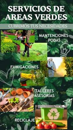 Imagen 4 de servicio