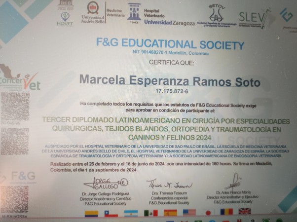 Imagen 4 de servicio