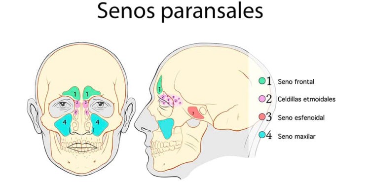 Imagen principal del servicio