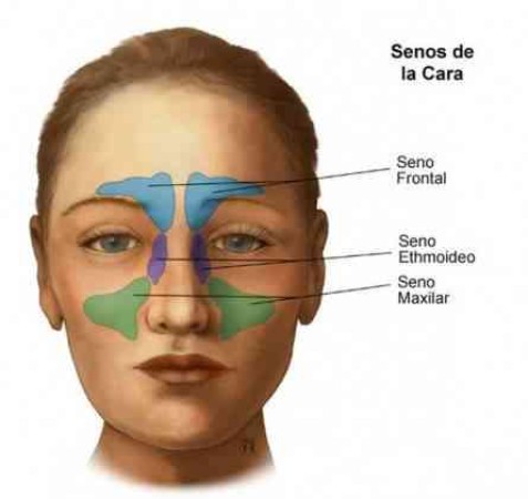 Imagen principal del servicio