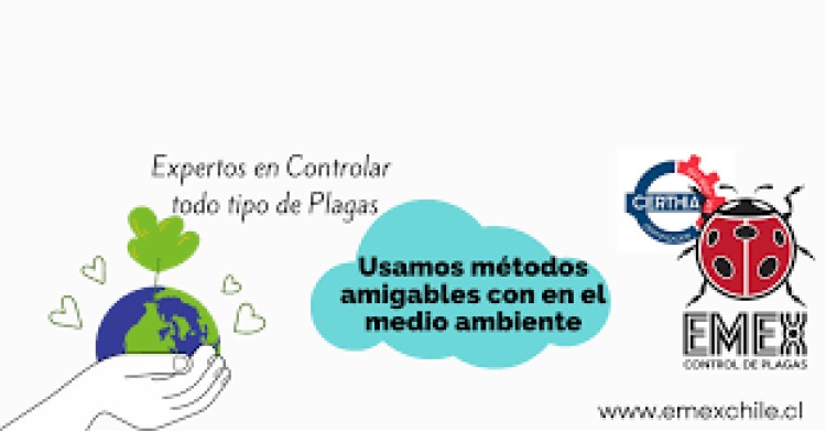 Imagen 0