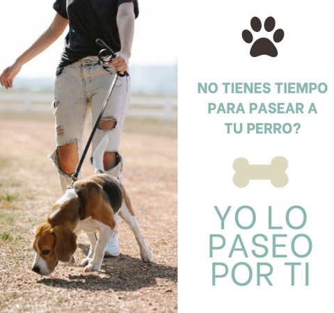 Imagen 0