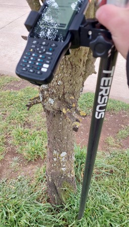 Imagen 6 de servicio