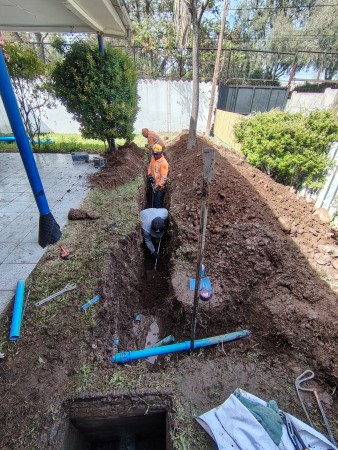 Imagen 5 de servicio