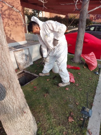 Imagen 8 de servicio