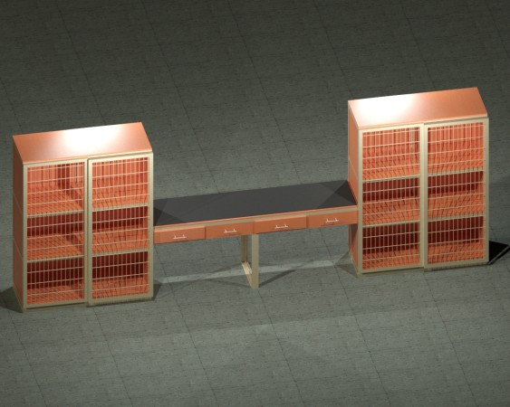 Imagen 8 de servicio
